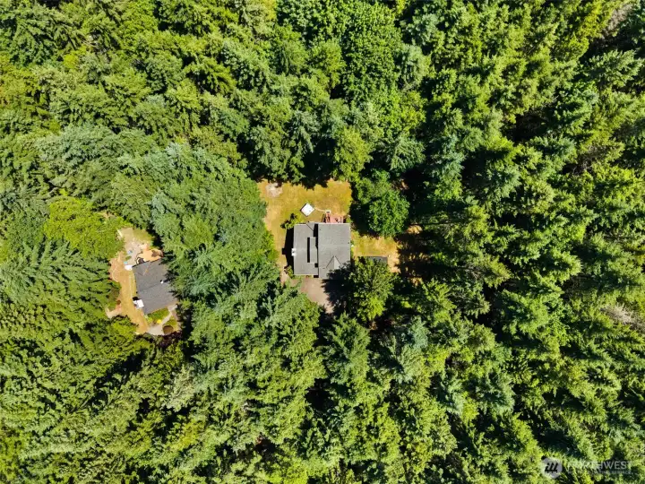 One more look at the level of privacy and trees that surround you