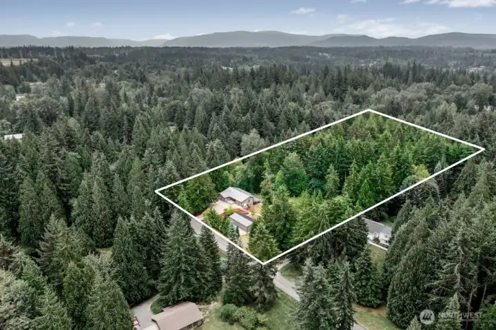 4.65 acres! Updated 2,683 sf home 4.65 acres! Updated 2,683 sf home