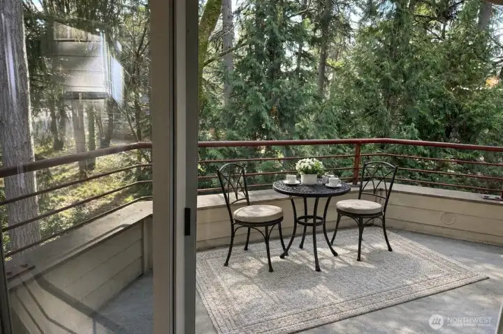 Large balcony with access from Livingroom and bedroom Large balcony with access from Livingroom and bedroom