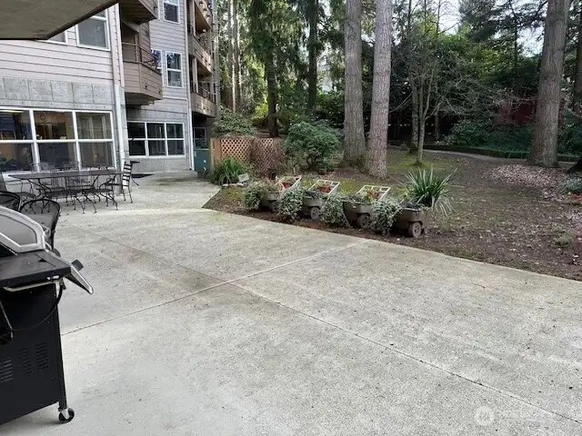 Patio Patio