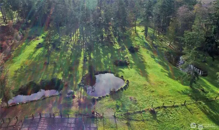 Fully fenced pasture