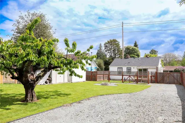 Spacious backyard with long gravel driveway- perfect for extra parking or recreational vehicles.