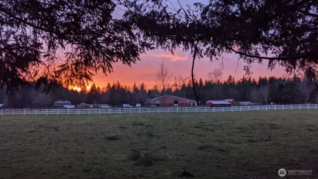 Sunset View