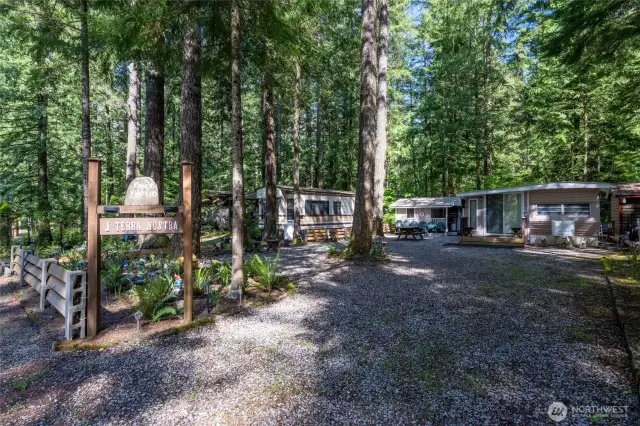 Big, open yard.
