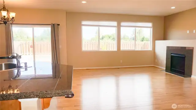 Family Room/Fireplace