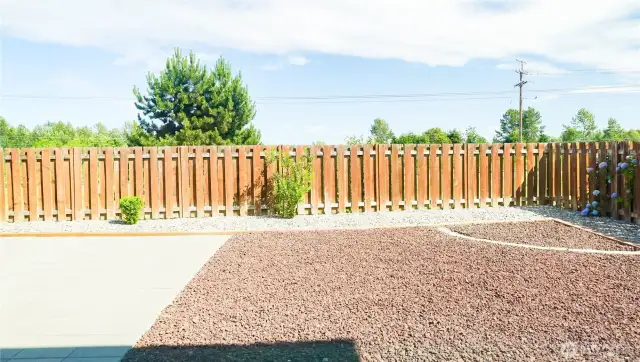 Clean Backyard