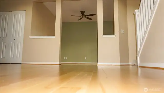 Hardwood Floor