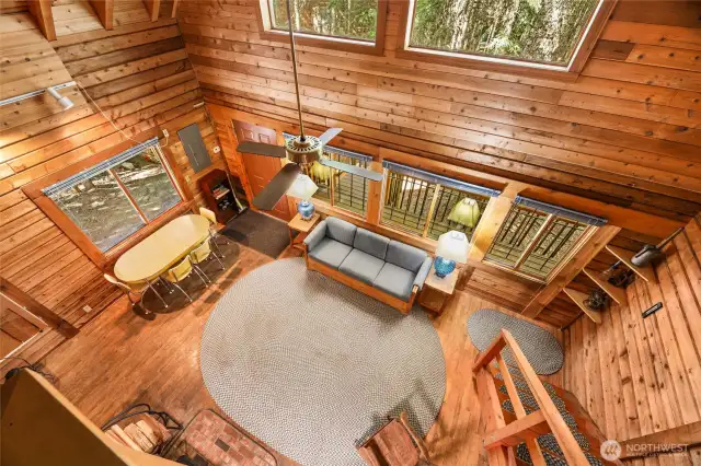 Lots of natural light makes it through the forest.