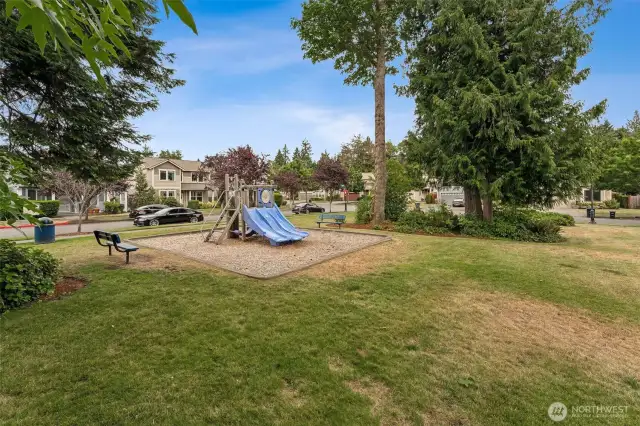 View of the park, literally across the street from your new home!