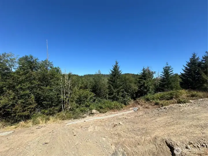 View from back yard