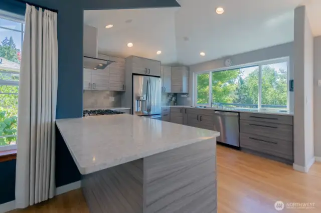 Remodeled fancy kitchen