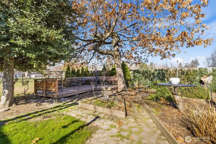 Picnic deck under the pin oak tree