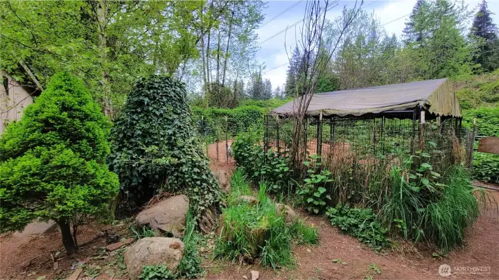 Yard