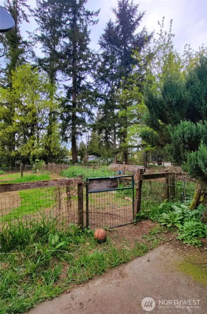 Fenced Yard