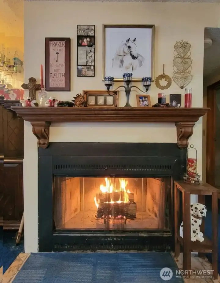 Lower Fireplace in Family Room
