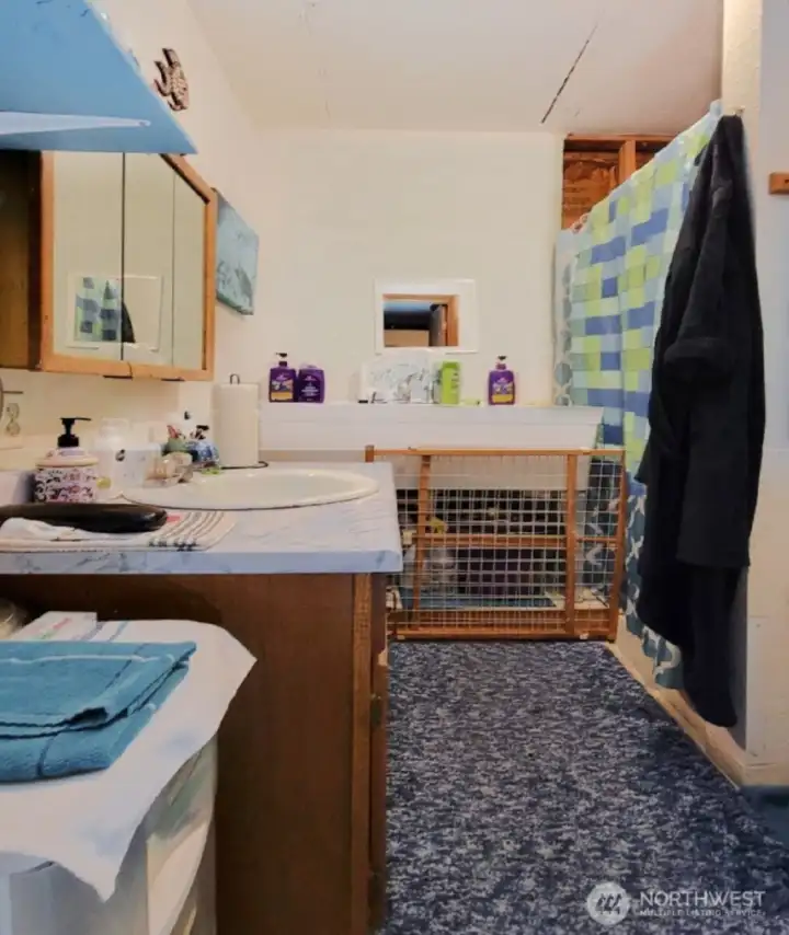 Lower Full Bathroom