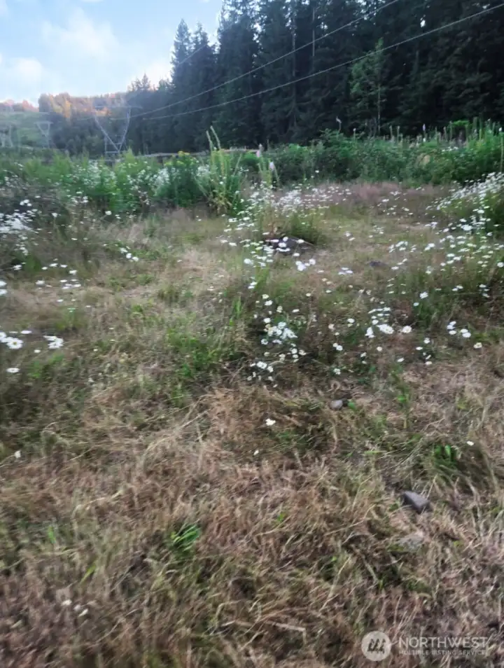 Back End of Property and Pasture