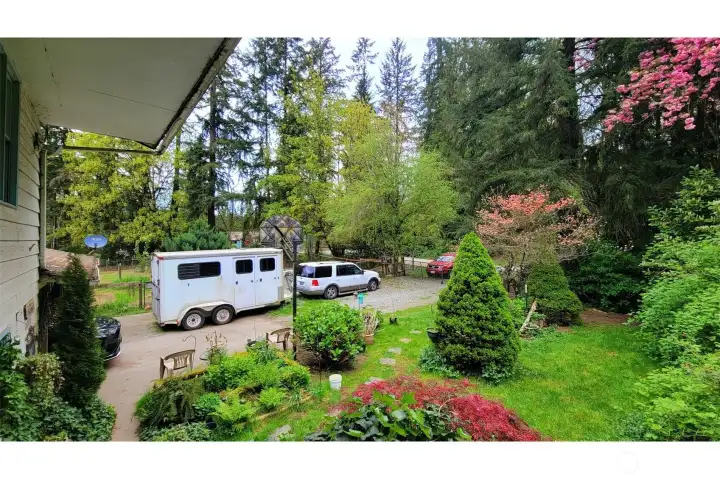 Front yard and driveway