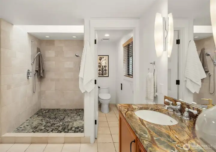 primary spa bathroom