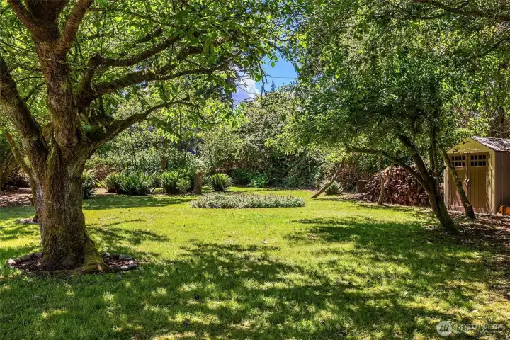 The established orchards offers shade in the summer, fruit in the fall The established orchards offers shade in the summer, fruit in the fall
