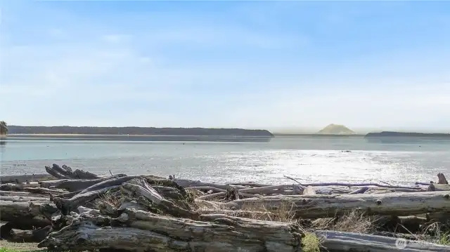 Mt Rainier can be seen from your own backyard!