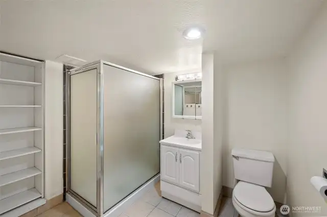lower level bathroom