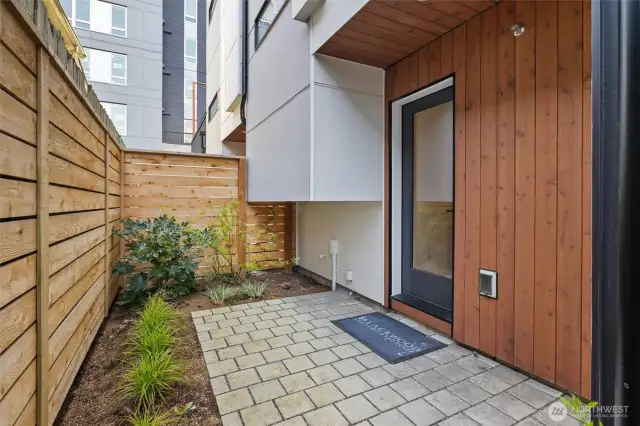 Back patio