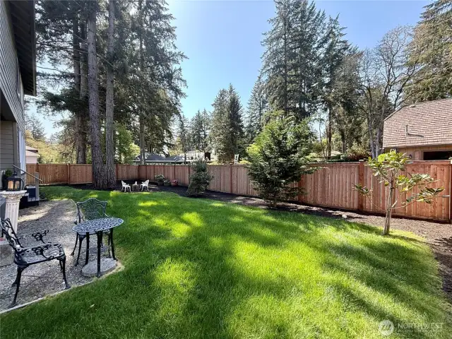 Backyard.