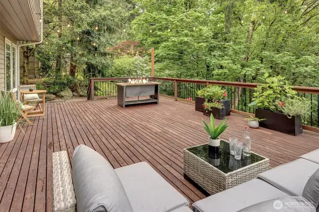 Entertainment sized deck!