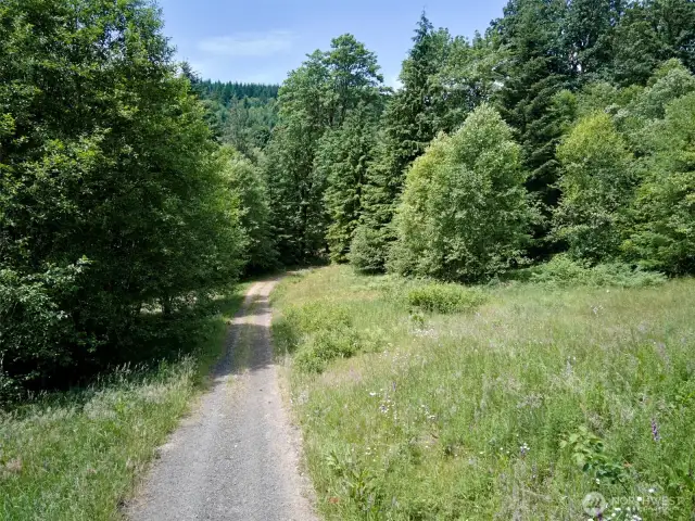 Driveway to homesite