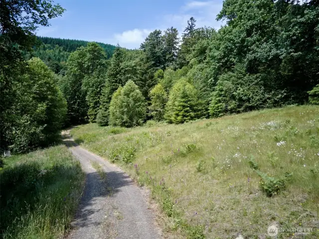 Driveway to homesite