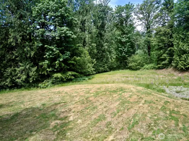 Homesite
