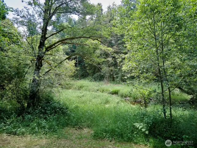 Path to Creek