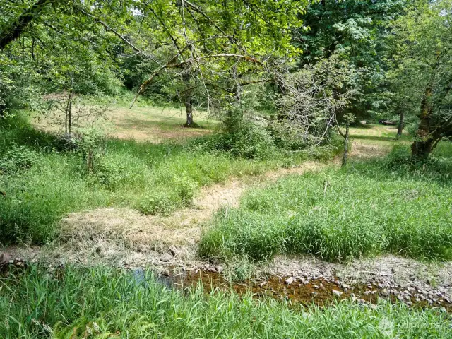 Path to creek