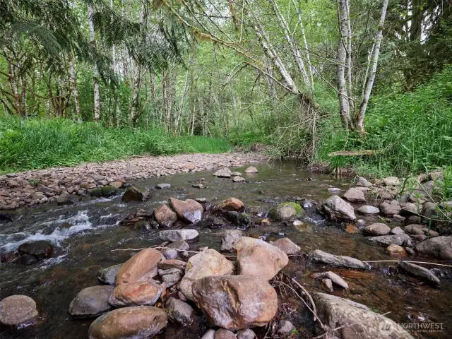 Creek Frontage