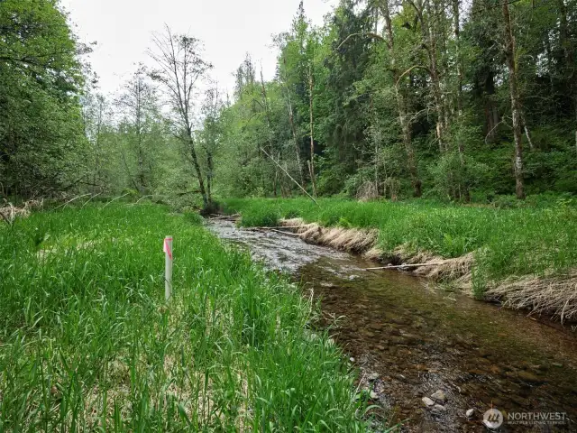 Creek Frontage