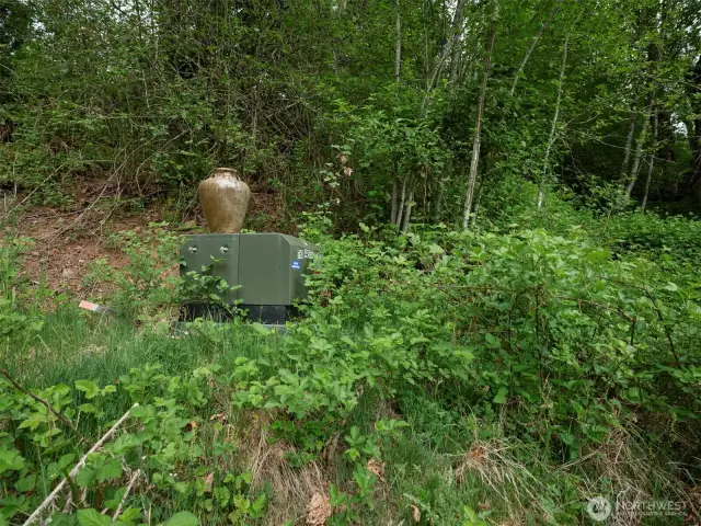 Power pedestal at homesite