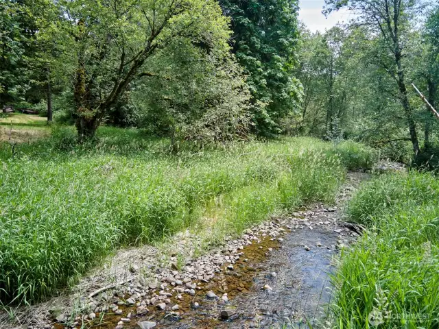 Creek