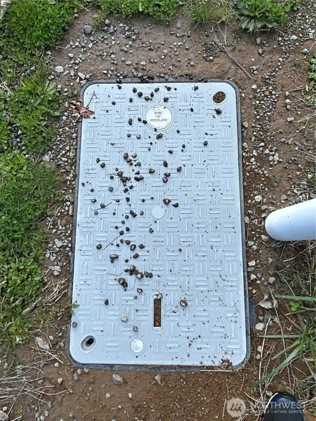 Fiber Internet