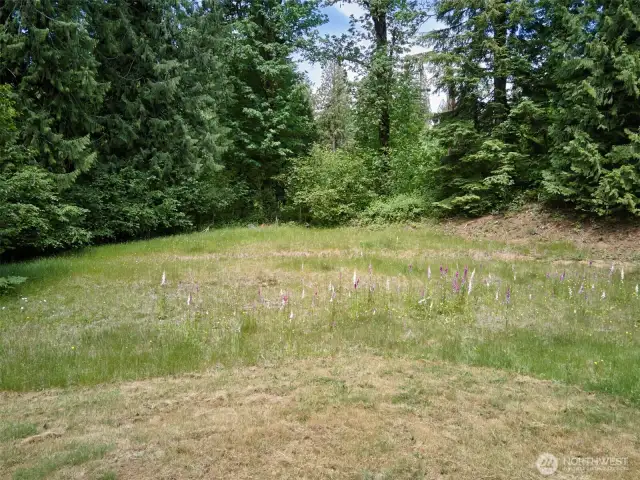 Homesite