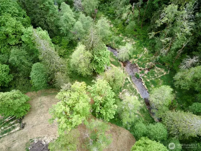 Creek Frontage!