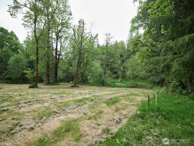 Homesite