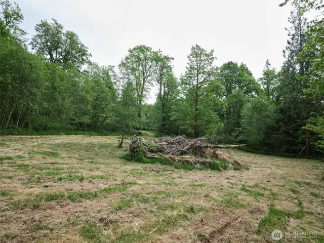 Homesite