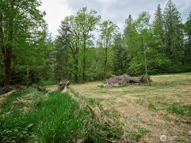 Homesite
