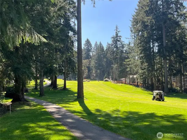 Looking South on Lot
