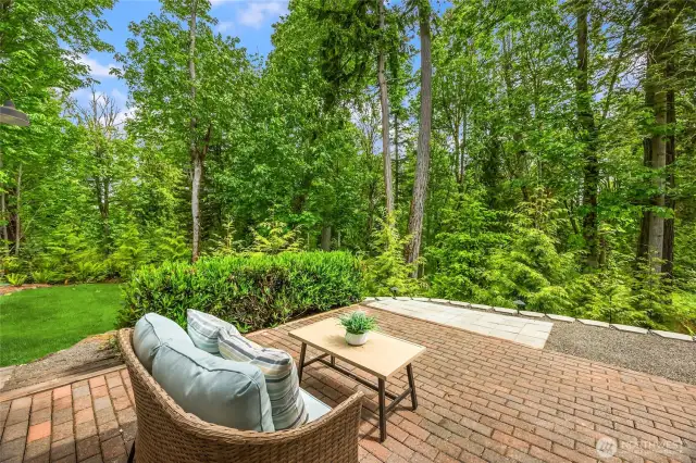 Relax on the pavered patio and listen to birdsong and the whisper of the trees.