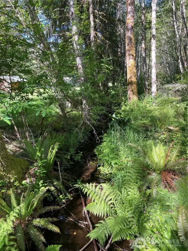 No Name Creek is set at the back of the property and part of an approximately 25' greenbelt easement.