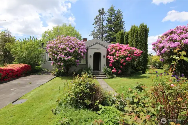 The entrance is framed by big rhodies
