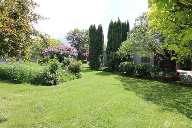 The green green grass of home