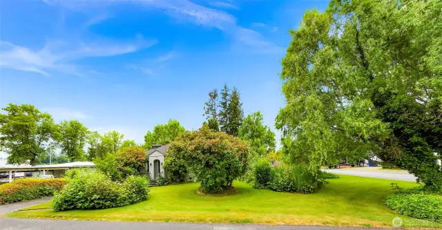 Huge, sunny corner lot